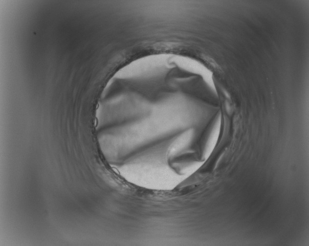 X0000080751153200701121956