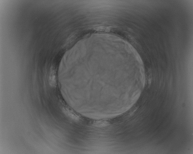 X0000080751154200701121955