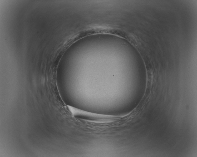 X0000080751157200701121955
