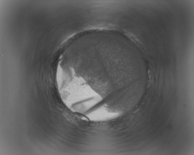 X0000080751158200701121955
