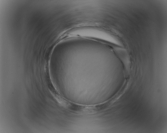 X0000080751161200701121955