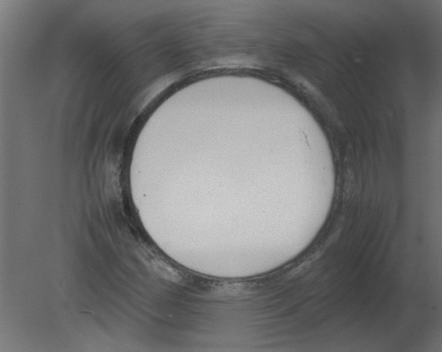 X0000080751162200701121955