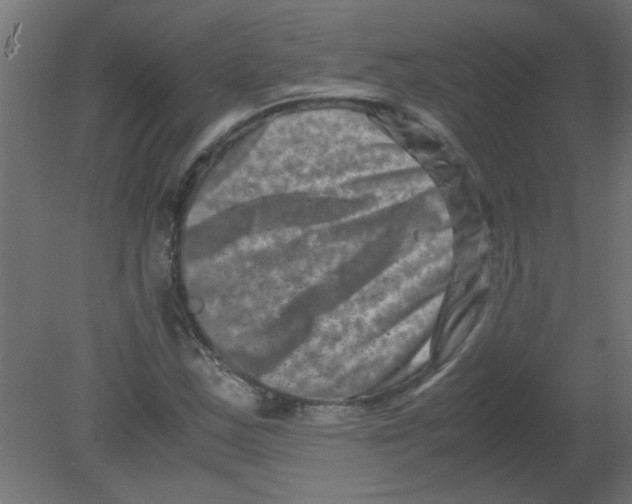 X0000080751163200701121955