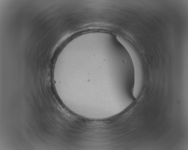 X0000080751164200701121955