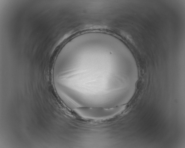 X0000080751165200701121955