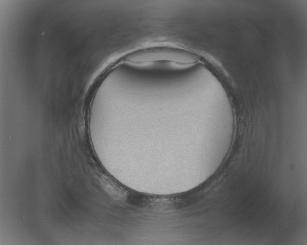 X0000080751167200701121955