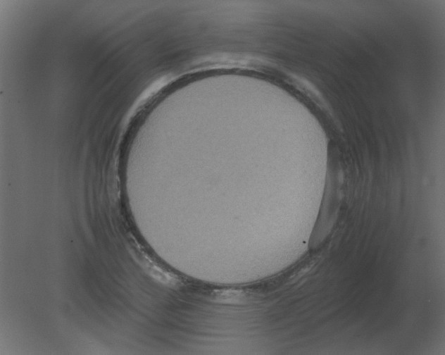 X0000080751172200701121955