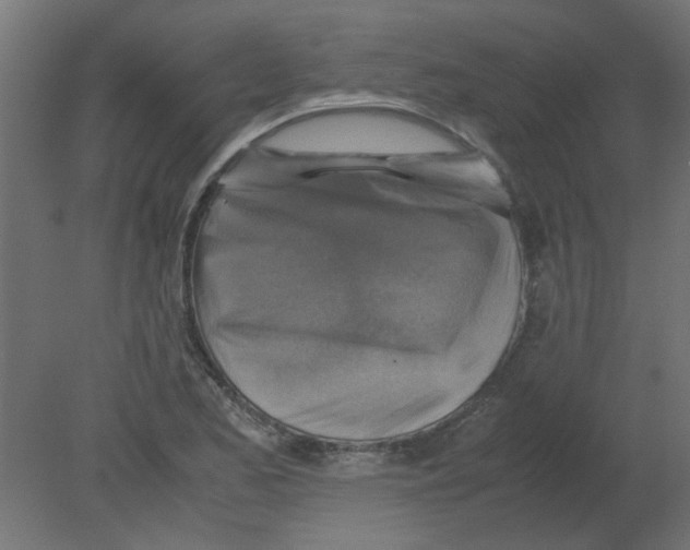 X0000080751173200701121955