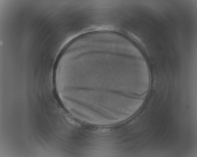 X0000080751174200701121955