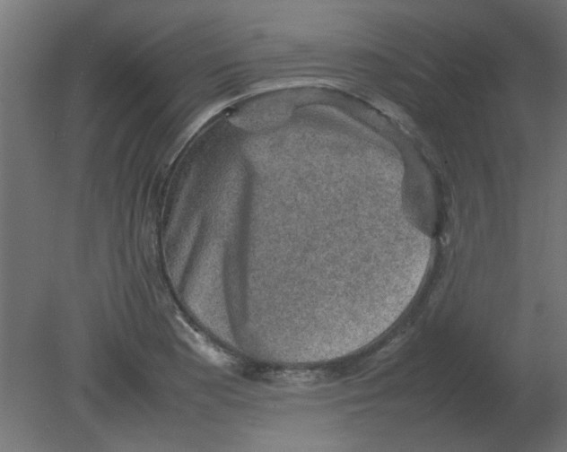 X0000080751177200701121955