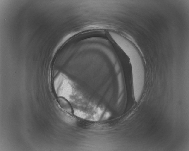 X0000080751179200701121955