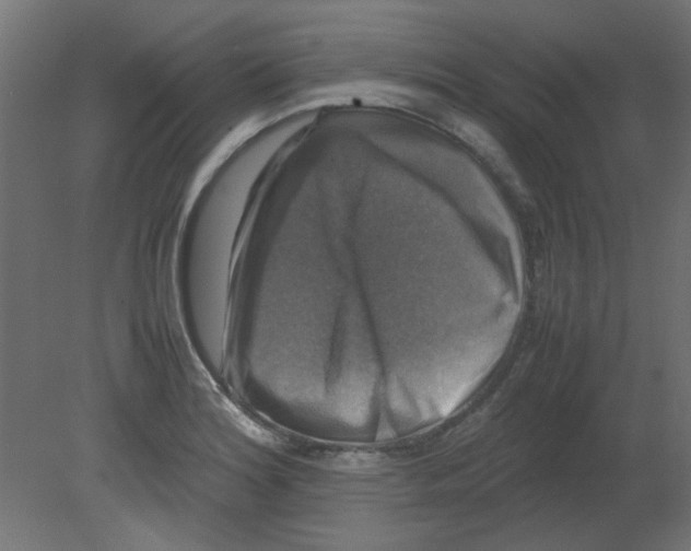 X0000080751180200701121955