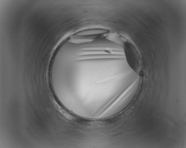 X0000080751181200701121955