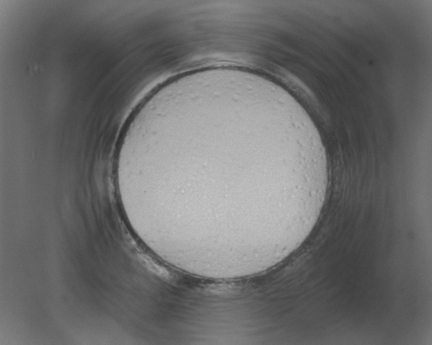 X0000080751182200701121955