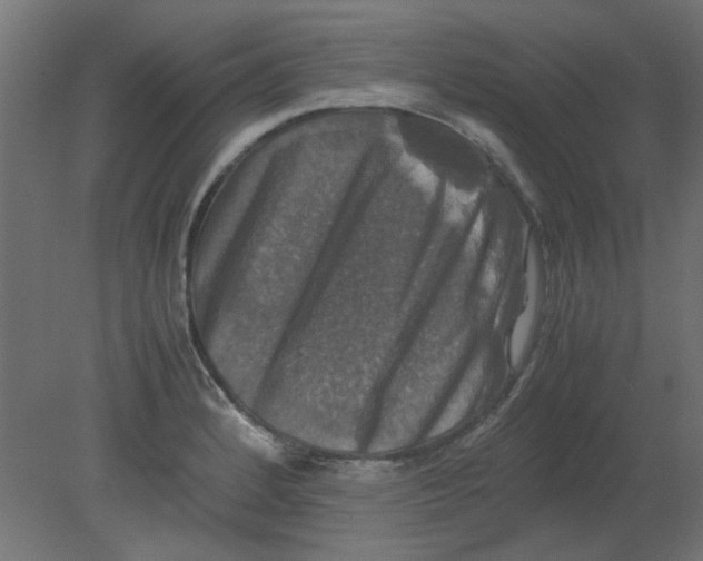 X0000080751184200701121955