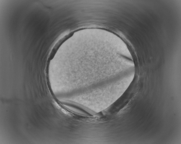 X0000080751189200701121955