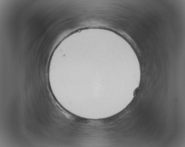 X0000080751191200701121955
