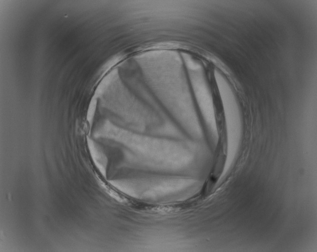 X0000080751193200701121955