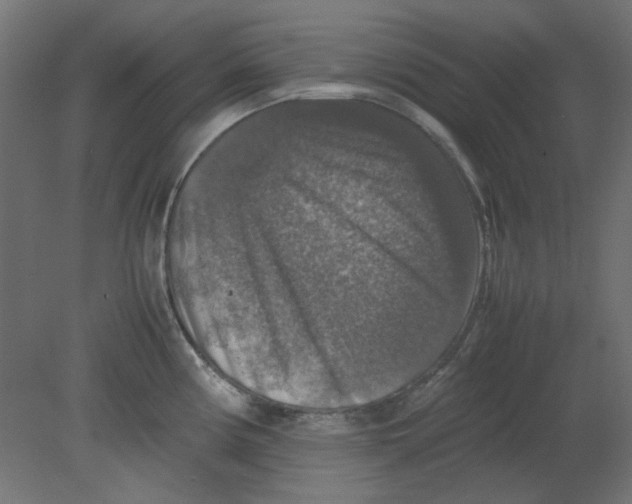 X0000080751194200701121955