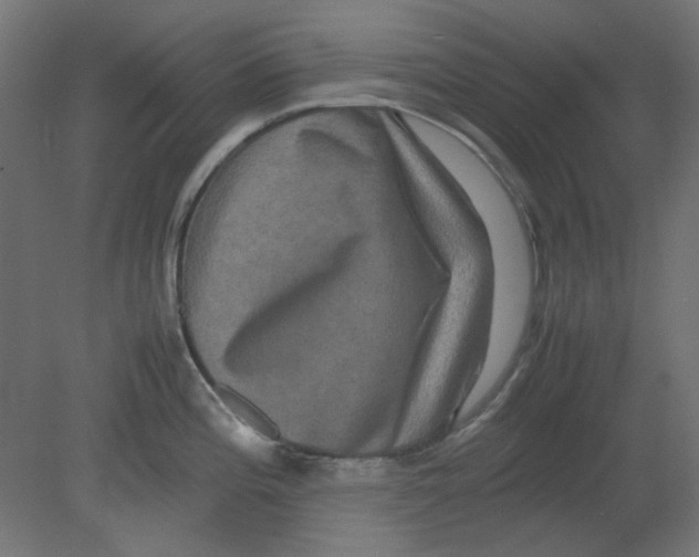 X0000080751196200701121955