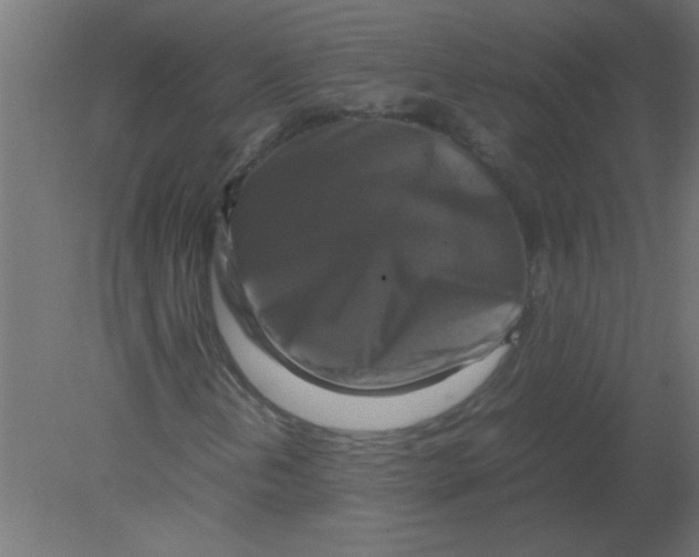 X0000080751202200701121954