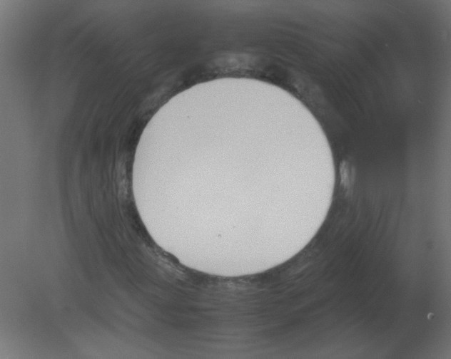 X0000080751203200701121954