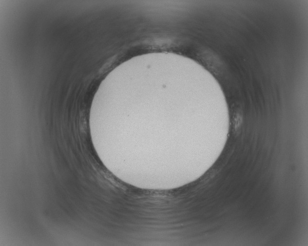 X0000080751204200701121954