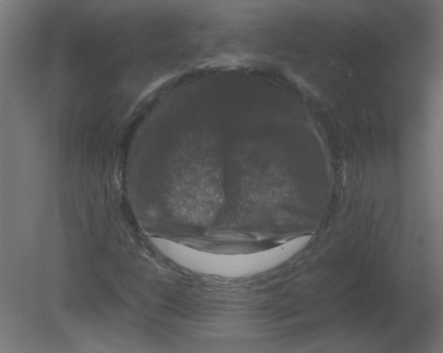 X0000080751206200701121954