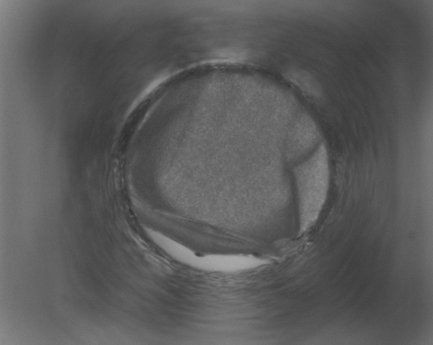 X0000080751208200701121954