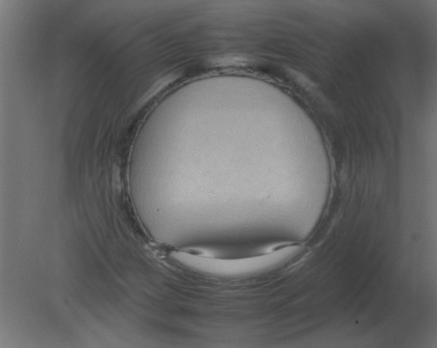 X0000080751209200701121954