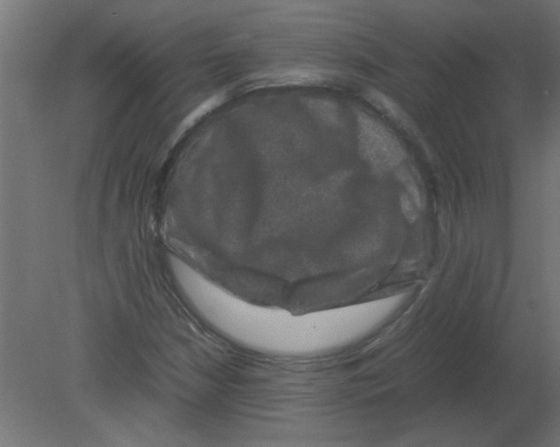 X0000080751210200701121954