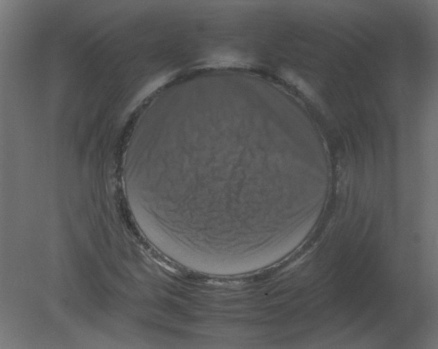 X0000080751213200701121954