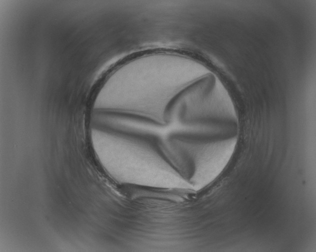 X0000080751214200701121954