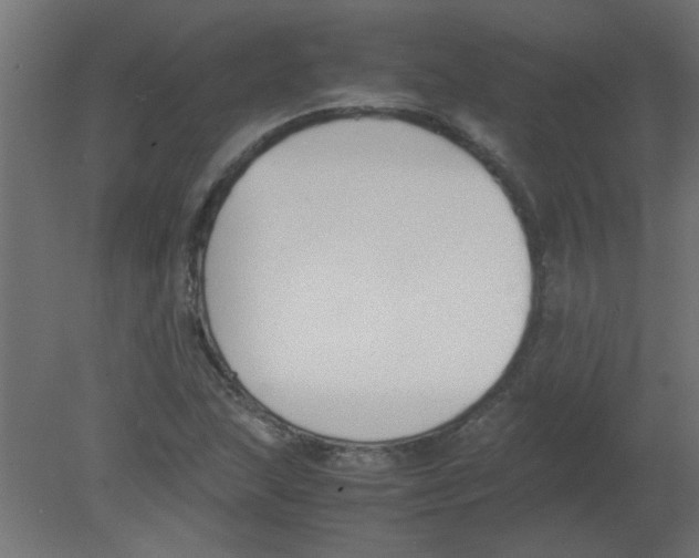 X0000080751215200701121954