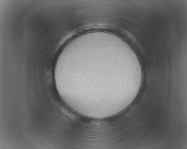X0000080751218200701121954