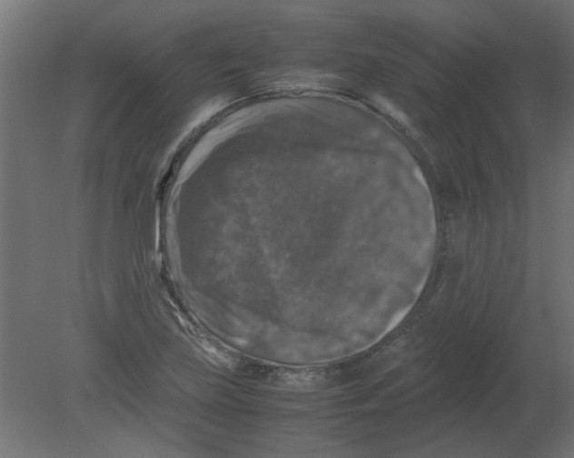 X0000080751219200701121954