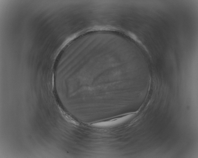 X0000080751221200701121954