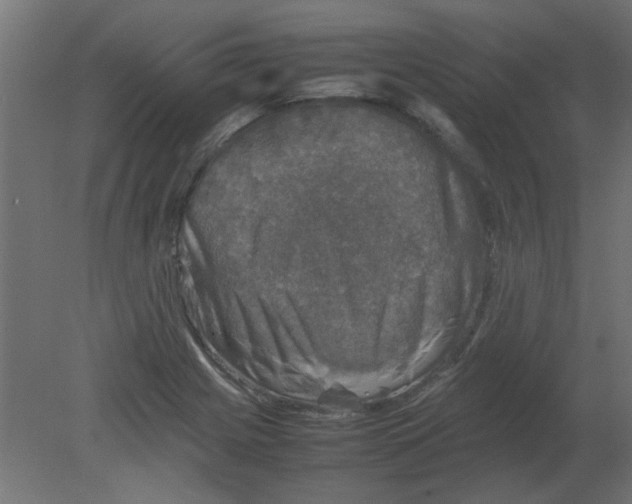 X0000080751225200701121954