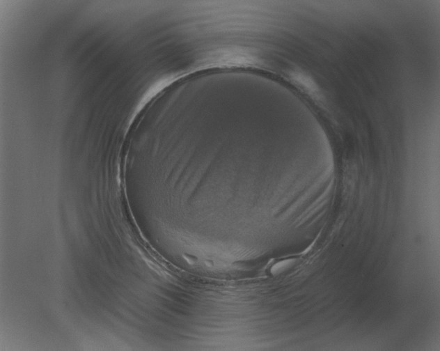 X0000080751226200701121954