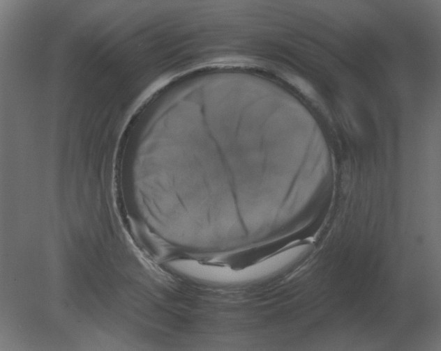 X0000080751229200701121954