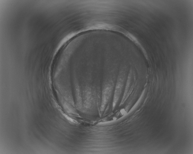 X0000080751230200701121954