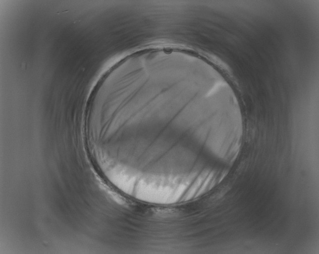 X0000080751231200701121954