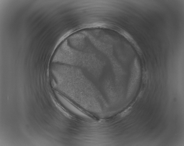 X0000080751234200701121954