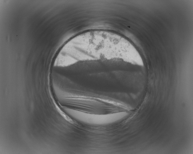 X0000080751237200701121954