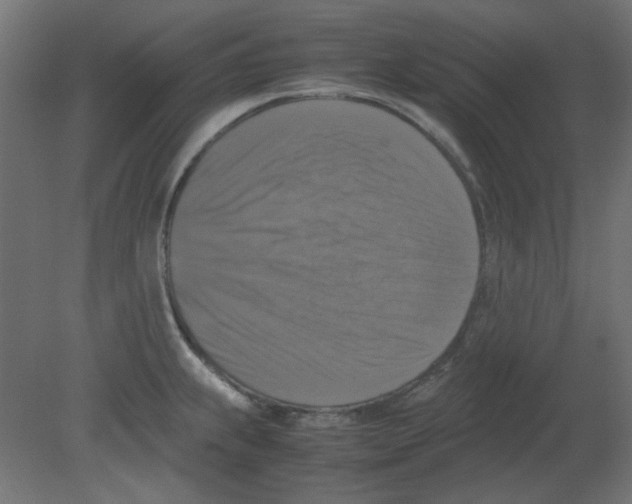 X0000080751239200701121955