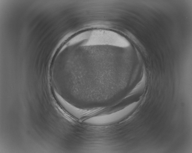 X0000080751240200701121955