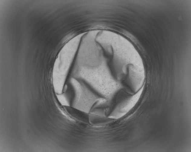 X0000080751241200701121955