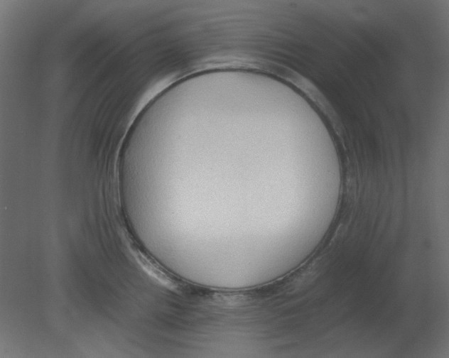 X0000080751242200701121955