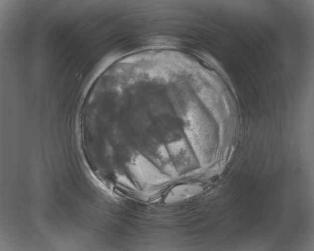 X0000080751243200701121955