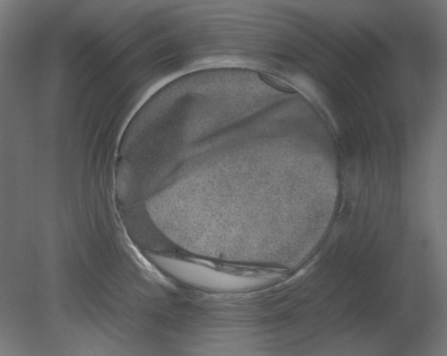 X0000080751244200701121955